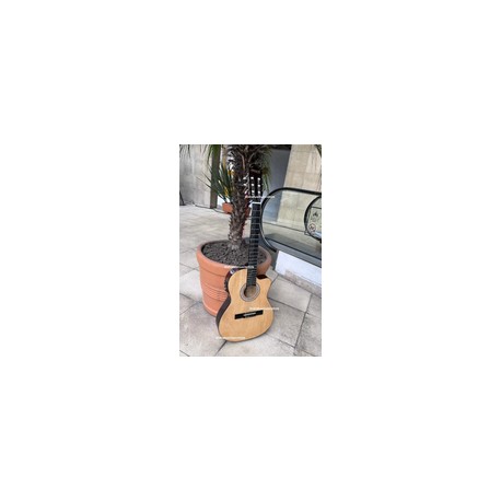 GUITARRA ELECTROACUSTICA MCCARTNEY SD2NT